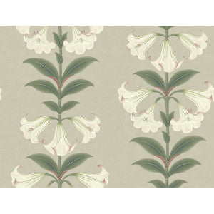 Angels Trumpet Chalk & Sage On Stone by Cole & Son Designer Wallcovering