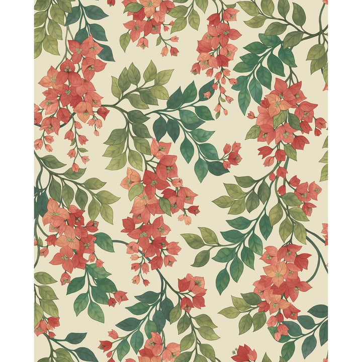 Bougainvillea Rouge/Olive Grn/Emerald/Crm by Cole & Son Designer Wallcovering COLE & SON SEVILLE NON WOVEN - 100% United Kingdom Horizontal: 20.5 and Vertical: 25.2 20.5 - Swanky Fabrics -