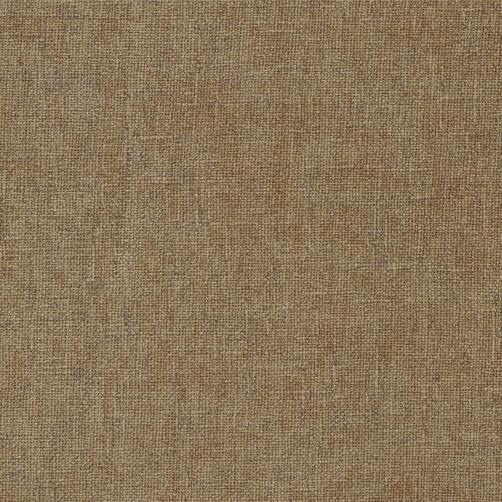 1186 Sand by Charlotte Designer Fabric Ring Book Page #14A 82% Polyester, 18% Rayon Asia Exceeds 120,000 Wyzenbeek Rubs (Heavy Duty) No Repeat 54 Inches - Swanky Fabrics -