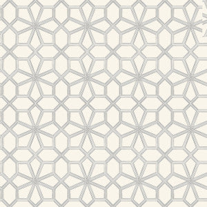 Wolsey Stars Soot On Snow by Cole & Son Designer Wallcovering
