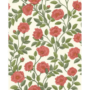 Hampton Roses R&Sgrn/Pmnt by Cole & Son Designer Wallcovering
