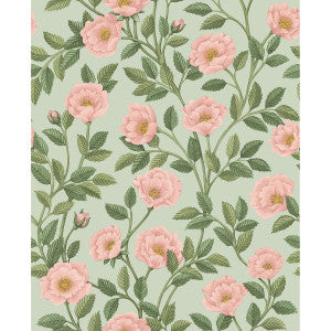 Hampton Roses R&Lgrn/Degg by Cole & Son Designer Wallcovering
