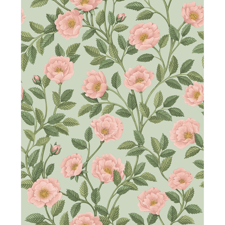 Hampton Roses R&Lgrn/Degg by Cole & Son Designer Wallcovering COLE & SON HISTORIC ROYAL PALACES-GREAT MASTERS NON WOVEN - 100% United Kingdom Horizontal: 20.5 and Vertical: 25.2 20.5 - Swanky Fabrics -