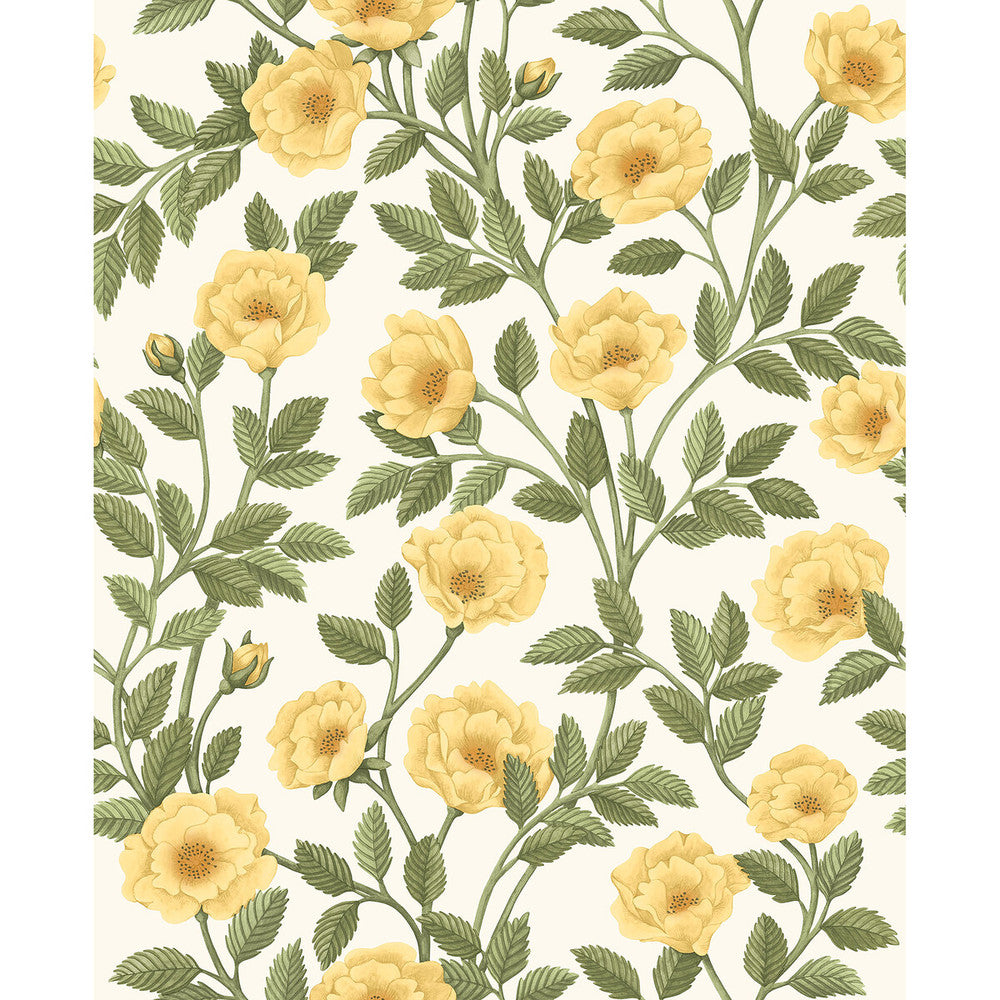 Hampton Roses Mrg&Ogrn/Wh by Cole & Son Designer Wallcovering COLE & SON HISTORIC ROYAL PALACES-GREAT MASTERS NON WOVEN - 100% United Kingdom Horizontal: 20.5 and Vertical: 25.2 20.5 - Swanky Fabrics -