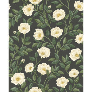 Hampton Roses Crm&Fgrn/Ch by Cole & Son Designer Wallcovering
