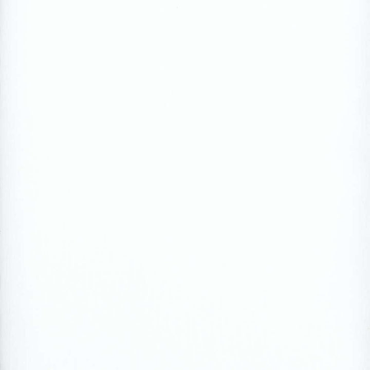 118 Super Batiste White Snow by Heritage Fabric - 100% Polyester - Turkey - 118" - Fabric Carolina -