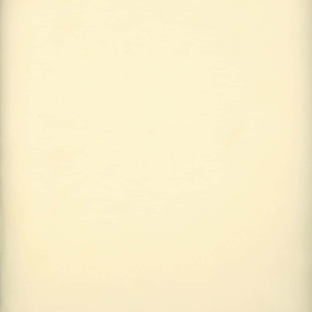 118 Super Voile Champagne by Heritage Fabric - 100% Polyester - Turkey - 118" - Fabric Carolina -