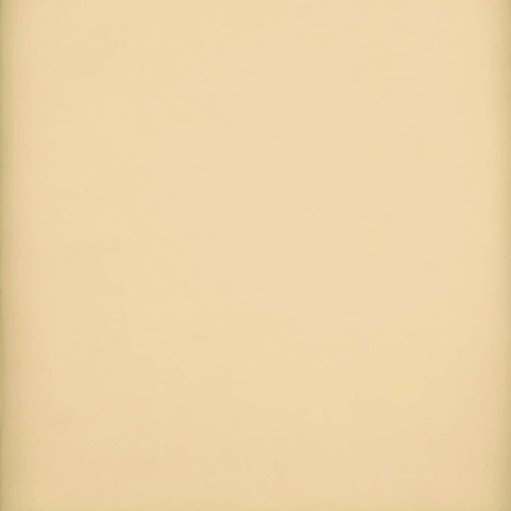 118 Super Voile Mink by Heritage Fabric - 100% Polyester - Turkey - 118" - Fabric Carolina -