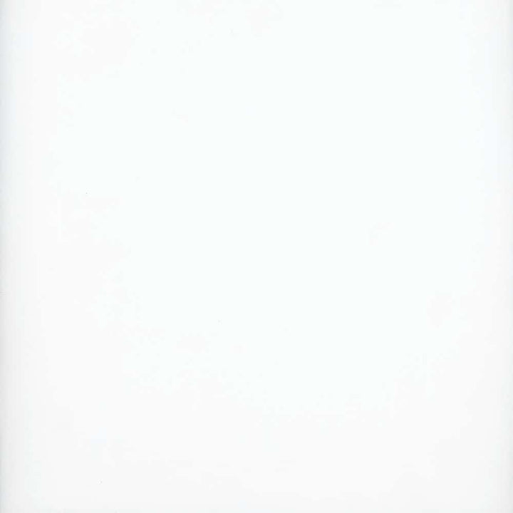 118 Super Voile Snow by Heritage Fabric - 100% Polyester - Turkey - 118" - Fabric Carolina -