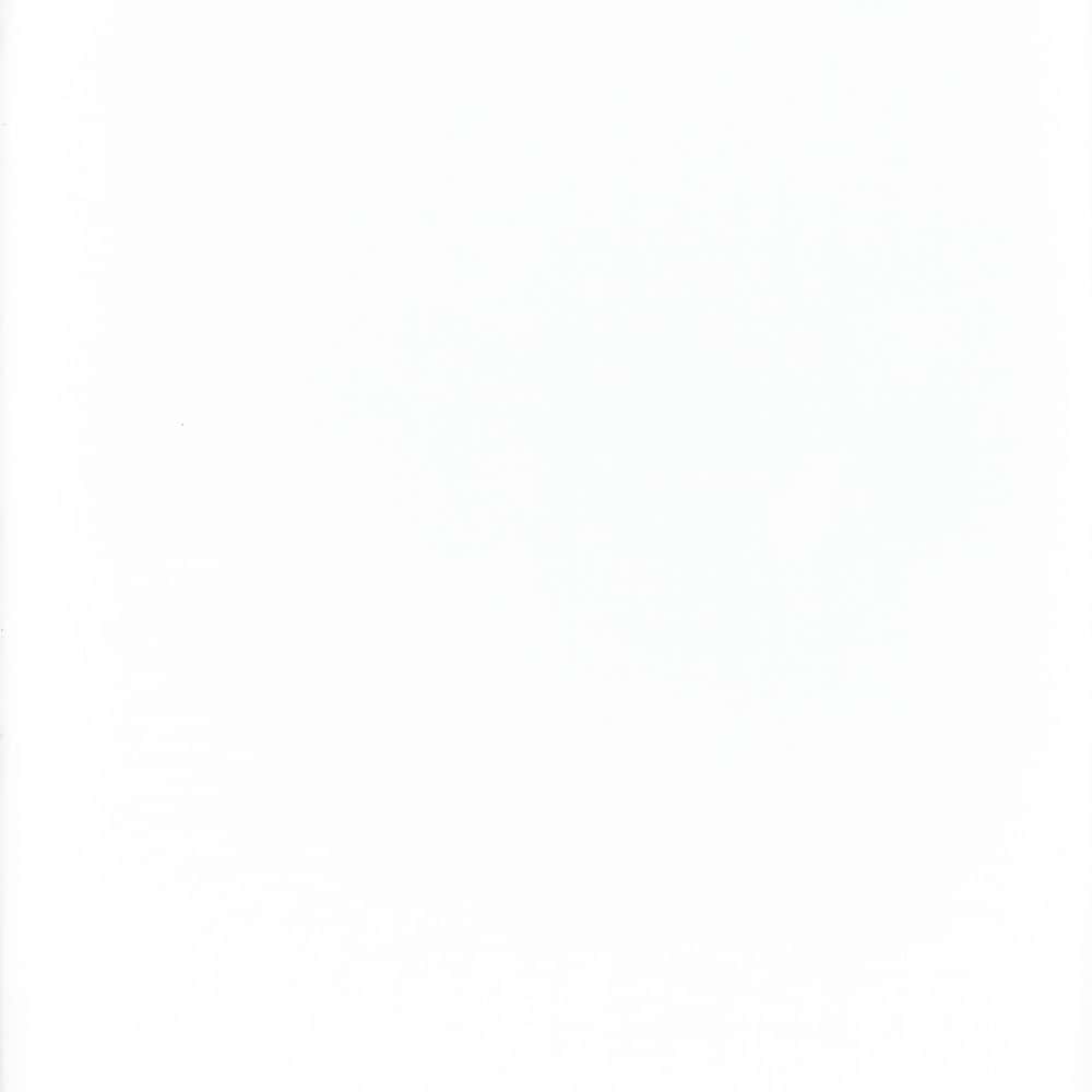 118 Super Voile Winter White by Heritage Fabric - 100% Polyester - Turkey - 118" - Fabric Carolina -