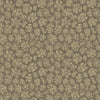 Savanna Shell Gilver by Cole & Son Designer Wallcovering