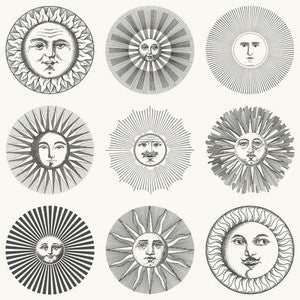 Soli Black & White 123/1001.CS.0 By Cole & Son Designer Wallcovering