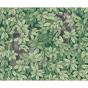 Foglie E Scimmie Green 123/10049.CS.0 By Cole & Son Designer Wallcovering