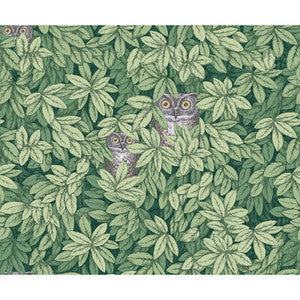 Foglie E Civette Green 123/11054.CS.0 By Cole & Son Designer Wallcovering