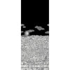 Vista Mediterranea Charcoal 123/3012.CS.0 By Cole & Son Designer Wallcovering