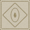 Conchiglie Gold On Stone 123/5025.CS.0 By Cole & Son Designer Wallcovering