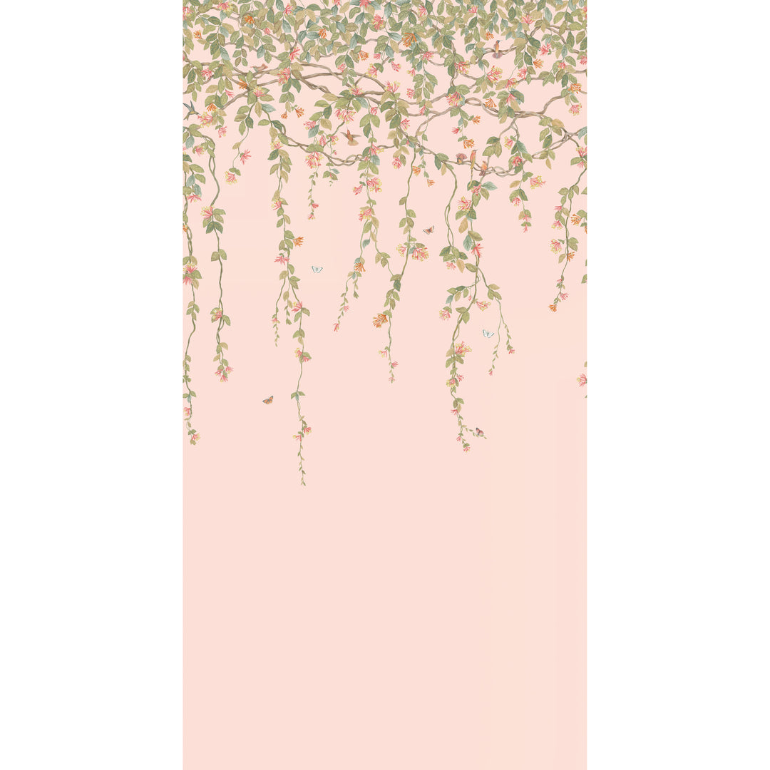 Hummingbirds Flora - Pink 124/2009.CS.0 by Cole & Son Designer Wallcovering