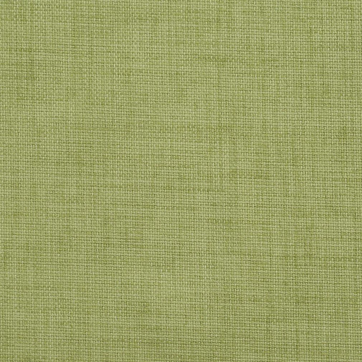 1254 Pear by Charlotte Designer Fabric Caribbean Cove 100% Woven Acrylic Made In USA Exceeds 50,000 Wyzenbeek Rubs (Heavy Duty) No Repeat 54 Inches - Swanky Fabrics -