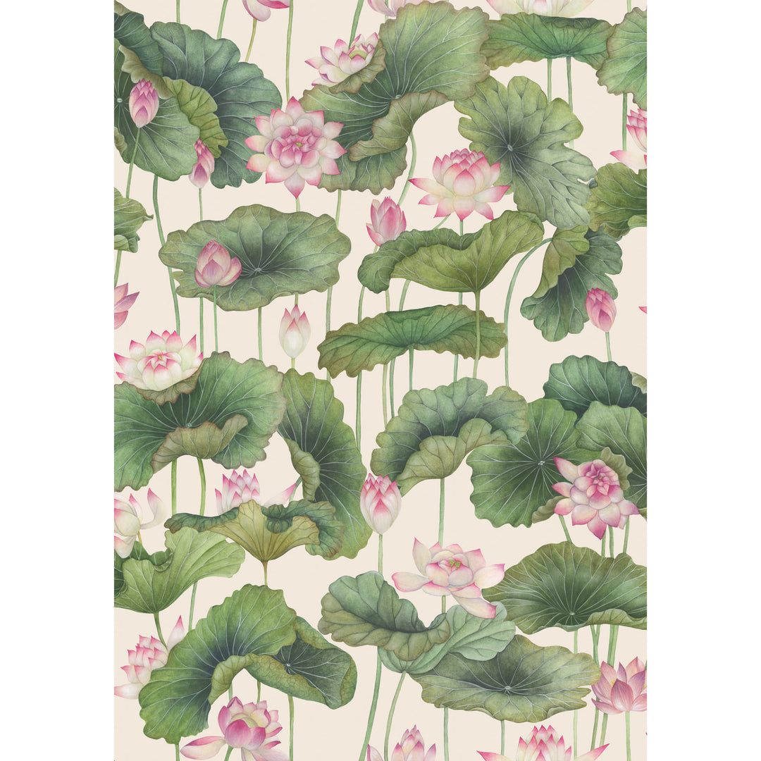 Lily Lotus - Pink 126/9031.CS.0 by Cole & Son Designer Wallcovering