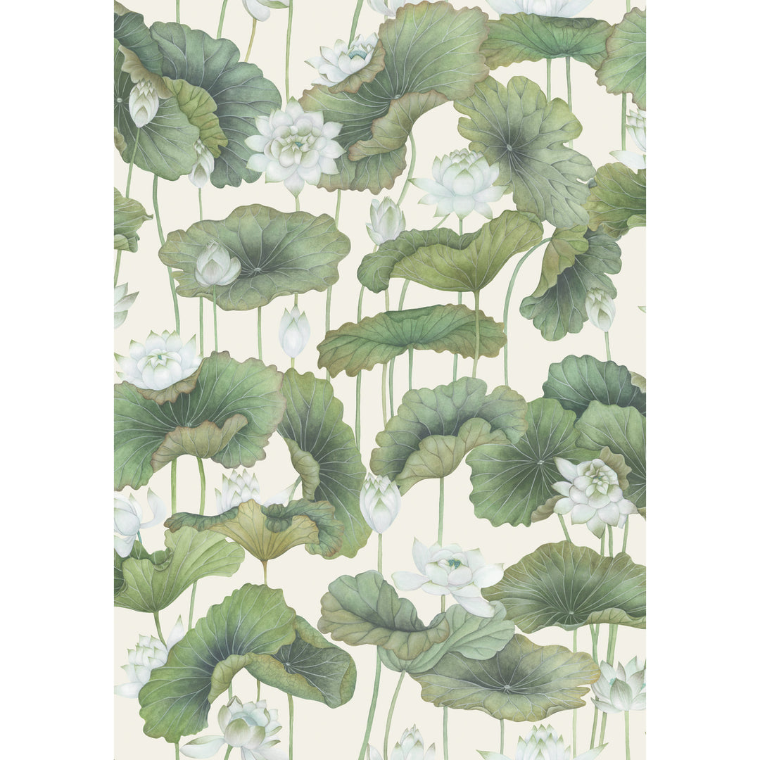 Lily Lotus - White/Cream 126/9034.CS.0 by Cole & Son Designer Wallcovering