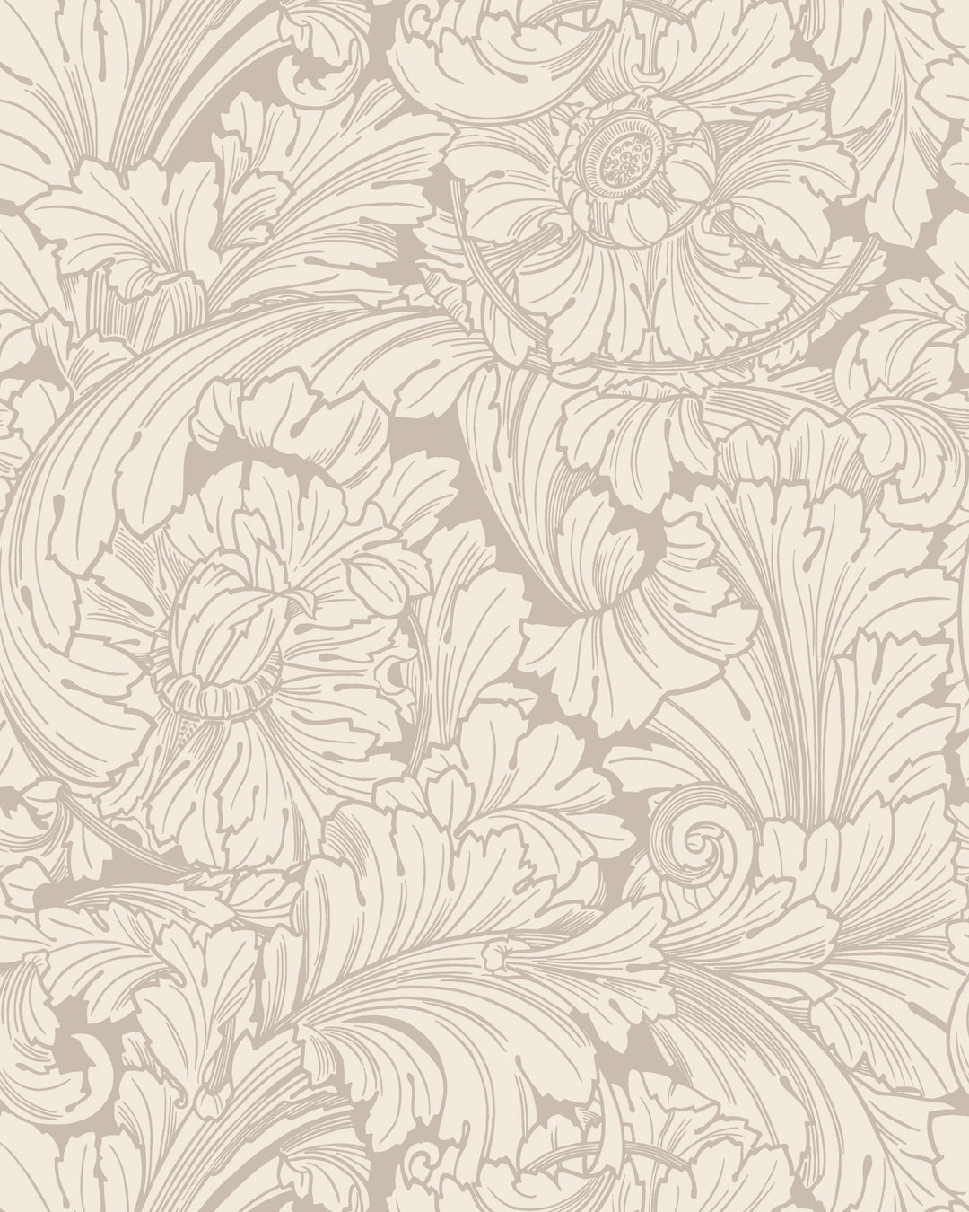 Acanthus - Cream/Pebble 127/6029.CS.0 by Cole & Son Designer Wallcovering