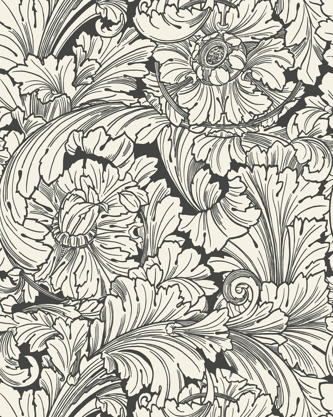 Acanthus - Soot/Snow 127/6032.CS.0 by Cole & Son Designer Wallcovering