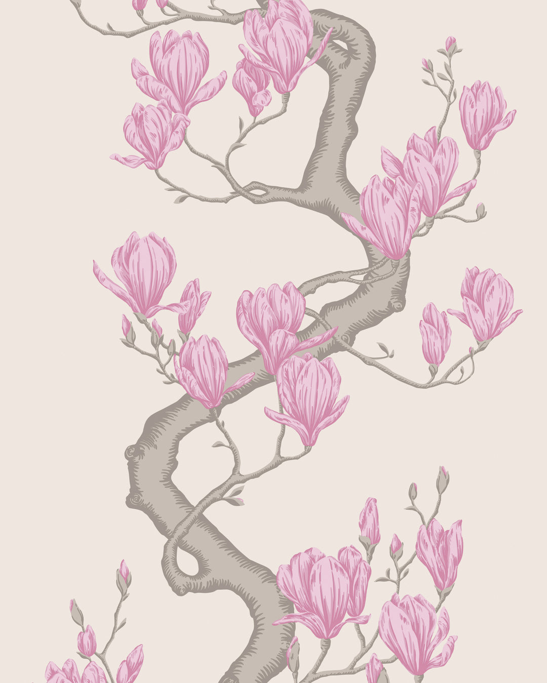 Magnolia Tree - Parchment 128/1002.CS.0 by Cole & Son Designer Wallcovering