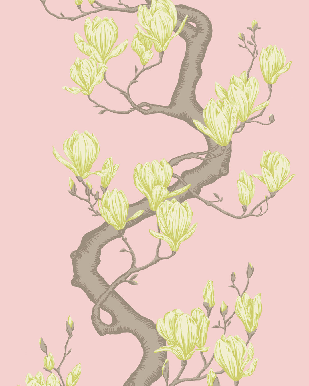 Magnolia Tree - Rose Pink 128/1005.CS.0 by Cole & Son Designer Wallcovering
