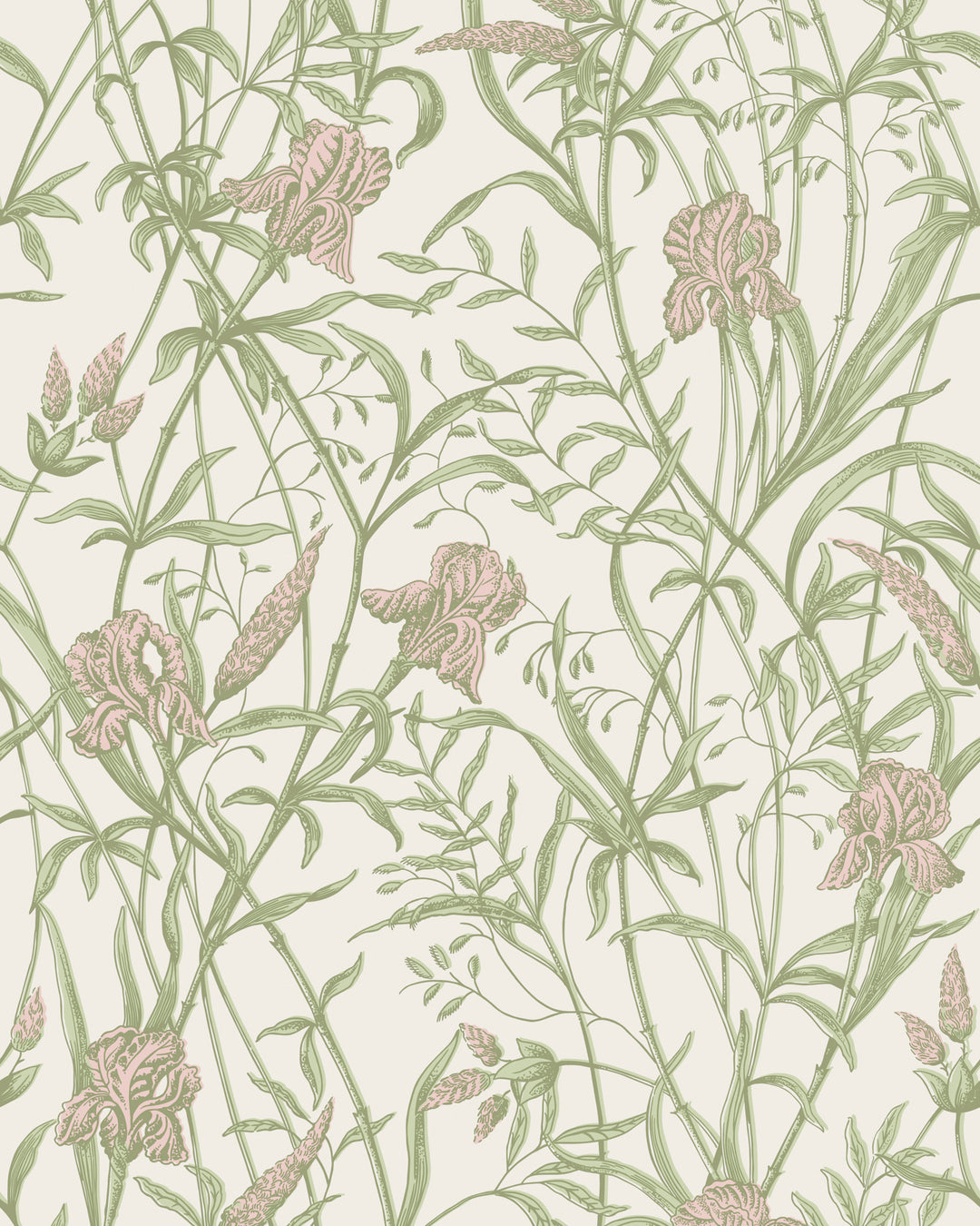 Iris - Soft Coral On Chalk 128/5025.CS.0 by Cole & Son Designer Wallcovering