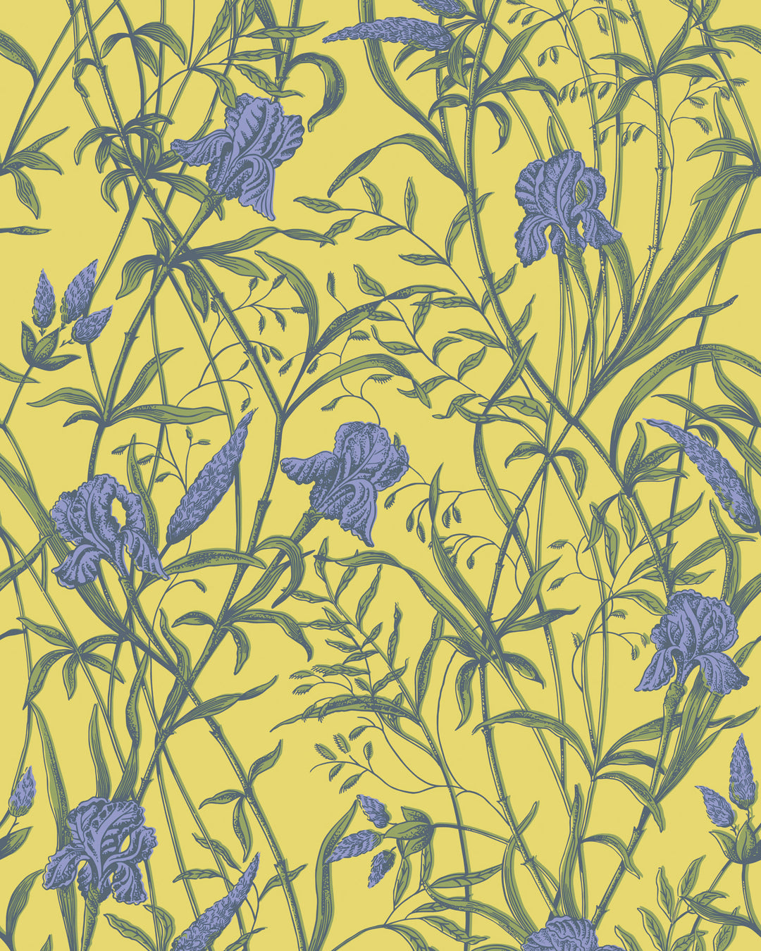 Iris - Violet On Citrine 128/5027.CS.0 by Cole & Son Designer Wallcovering