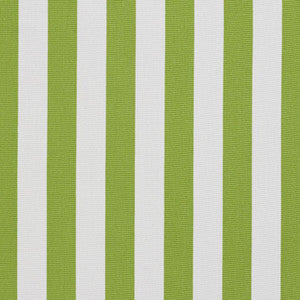 1290 Lime Canopy by Charlotte Designer Fabric