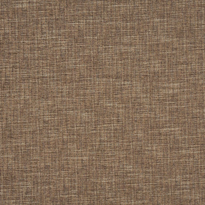 1322 Mesquite by Charlotte Designer Fabric Ring Book Page #32A 100% Woven Polyester Asia Exceeds 100,000 Wyzenbeek Rubs (Heavy Duty) </p><p>Repeat: 54 Inches - Swanky Fabrics -