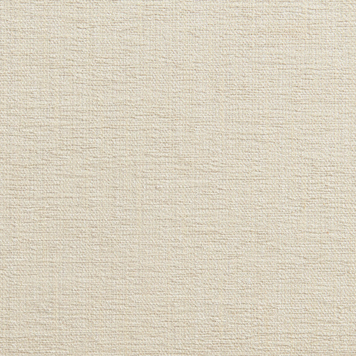 1323 Natural by Charlotte Designer Fabric Ring Book Page #32A 100% Woven Polyester Asia Exceeds 100,000 Wyzenbeek Rubs (Heavy Duty) No Repeat 54 Inches - Swanky Fabrics -