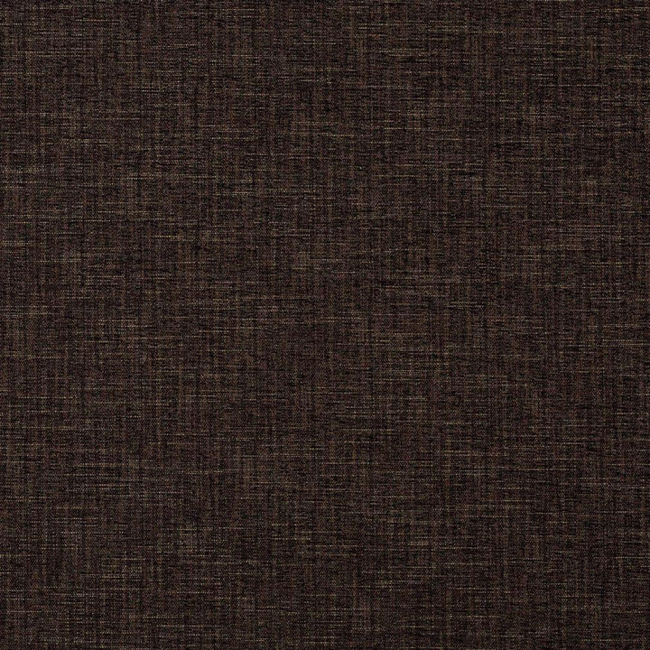 1325 Espresso by Charlotte Designer Fabric Ring Book Page #32A 100% Woven Polyester Asia Exceeds 100,000 Wyzenbeek Rubs (Heavy Duty) </p><p>Repeat: 54 Inches - Swanky Fabrics -