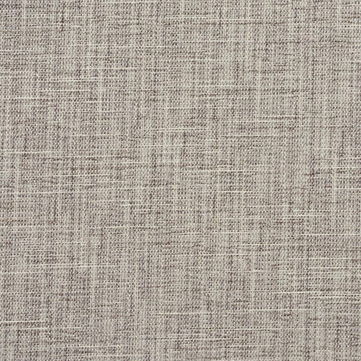 1326 Flannel by Charlotte Designer Fabric Ring Book Page #32A 100% Woven Polyester Asia Exceeds 100,000 Wyzenbeek Rubs (Heavy Duty) No Repeat 54 Inches - Swanky Fabrics -