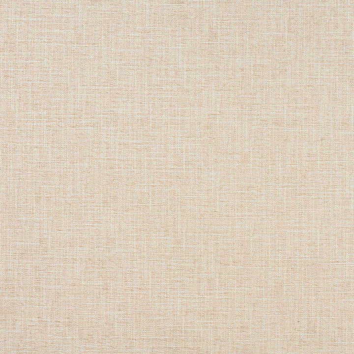 1328 Cream by Charlotte Designer Fabric Ring Book Page #32A 100% Woven Polyester Asia Exceeds 100,000 Wyzenbeek Rubs (Heavy Duty) </p><p>Repeat: 54 Inches - Swanky Fabrics -