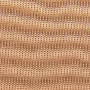 1341 Cashew by Charlotte Designer Fabric