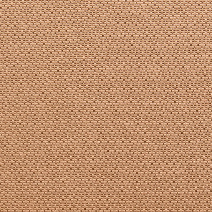 1341 Cashew by Charlotte Designer Fabric Ring Book Page #29A 55% Cotton, 45% Polyester Taiwan Exceeds 50,000 Wyzenbeek Rubs (Heavy Duty) </p><p>Repeat: 54 Inches - Swanky Fabrics -