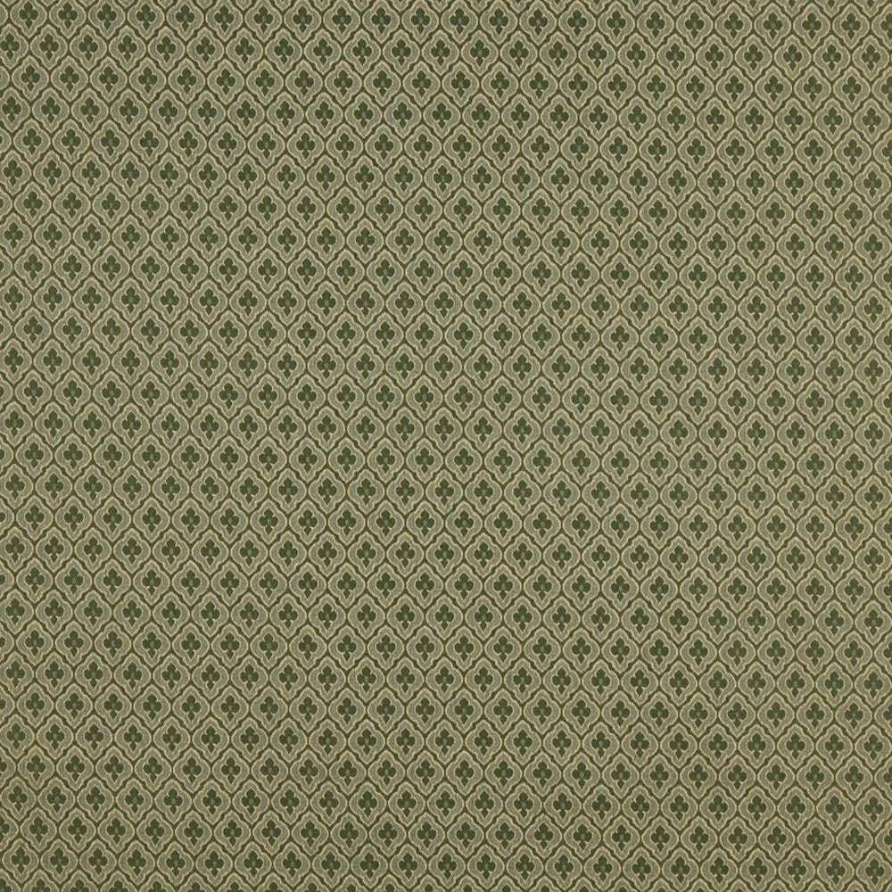 1466 Cactus by Charlotte Designer Fabric Ring Book Page #114 57% Cotton, 43% Polyester Made In USA Exceeds 70,000 Wyzenbeek Rubs (Heavy Duty) </p><p>Repeat: Horizontal: 1" x Vertical: 1.5" 54 Inches - Swanky Fabrics -
