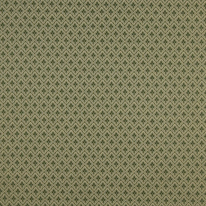 1466 Cactus by Charlotte Designer Fabric Ring Book Page #114 57% Cotton, 43% Polyester Made In USA Exceeds 70,000 Wyzenbeek Rubs (Heavy Duty) Horizontal: 1" x Vertical: 1.5" 54 Inches - Swanky Fabrics -