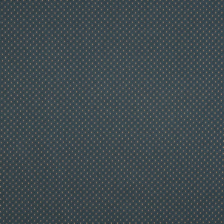 1497 Admiral by Charlotte Designer Fabric Ring Book Page #106 57% Cotton, 43% Polyester Made In USA Exceeds 70,000 Wyzenbeek Rubs (Heavy Duty) Horizontal: 0.75" x Vertical: 0.75" 54 Inches - Swanky Fabrics -