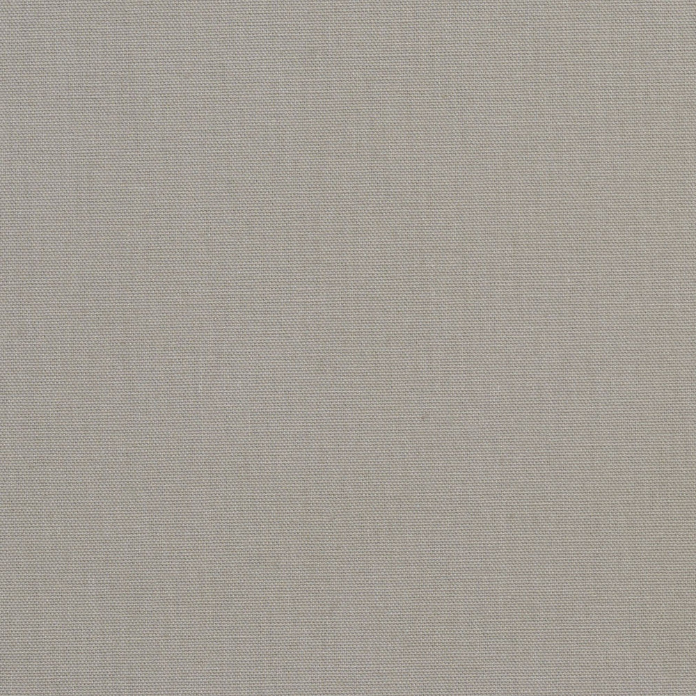 1501 Sterling by Charlotte Designer Fabric Cotton Duck, Forever Classics 100% Cotton, 12oz. Preshrunk Cotton Duck Made In USA Exceeds 60,000 Wyzenbeek Rubs (Heavy Duty) No Repeat 54 Inches - Swanky Fabrics -