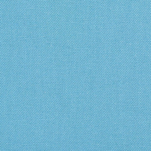 1502 Aqua by Charlotte Designer Fabric