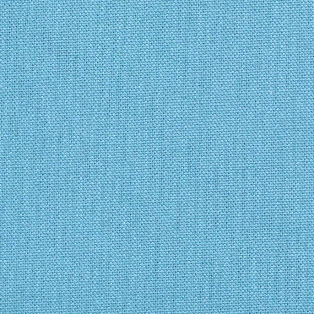1502 Aqua by Charlotte Designer Fabric Cotton Duck, Forever Classics 100% Cotton, 12oz. Preshrunk Cotton Duck Made In USA Exceeds 60,000 Wyzenbeek Rubs (Heavy Duty) No Repeat 54 Inches - Swanky Fabrics -