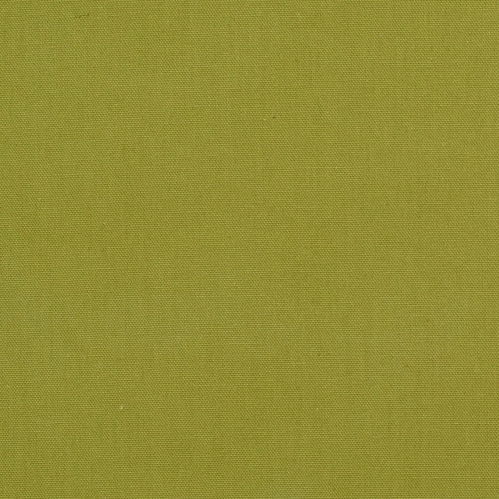 1509 Spring by Charlotte Designer Fabric Cotton Duck, Forever Classics 100% Preshrunk Cotton, 12oz. Made In USA Exceeds 60,000 Wyzenbeek Rubs (Heavy Duty) </p><p>Repeat: 54 Inches - Swanky Fabrics -