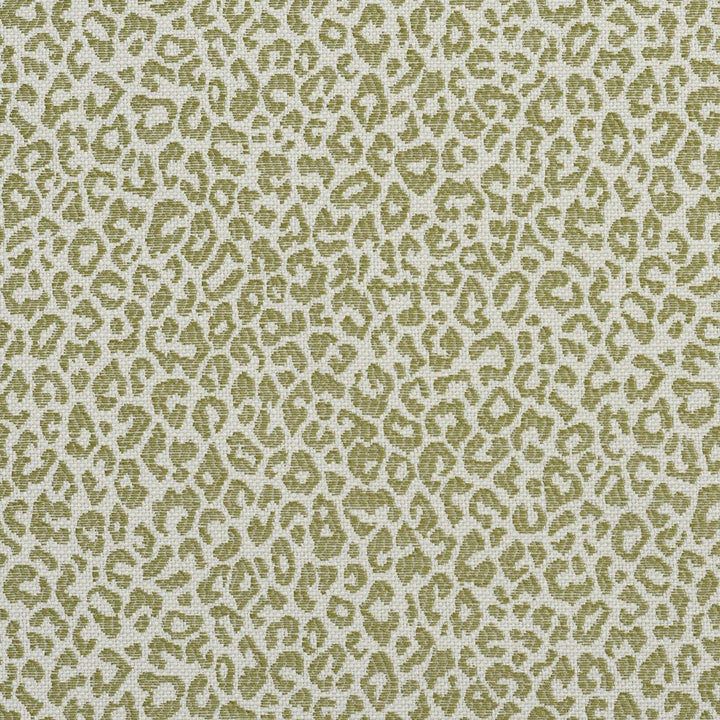 1591 Meadow by Charlotte Designer Fabric Ring Book Page #16A 75% Rayon, 25% Polyester Asia Exceeds 70,000 Wyzenbeek Rubs (Heavy Duty) Random 54 Inches - Swanky Fabrics -