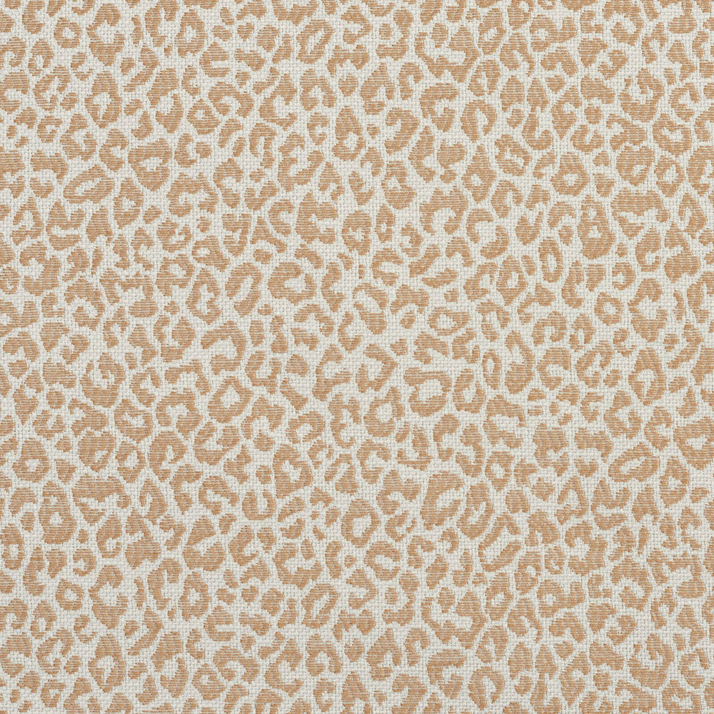 1592 Sand by Charlotte Designer Fabric Ring Book Page #16A 75% Rayon, 25% Polyester Asia Exceeds 70,000 Wyzenbeek Rubs (Heavy Duty) </p><p>Repeat: Random 54 Inches - Swanky Fabrics -