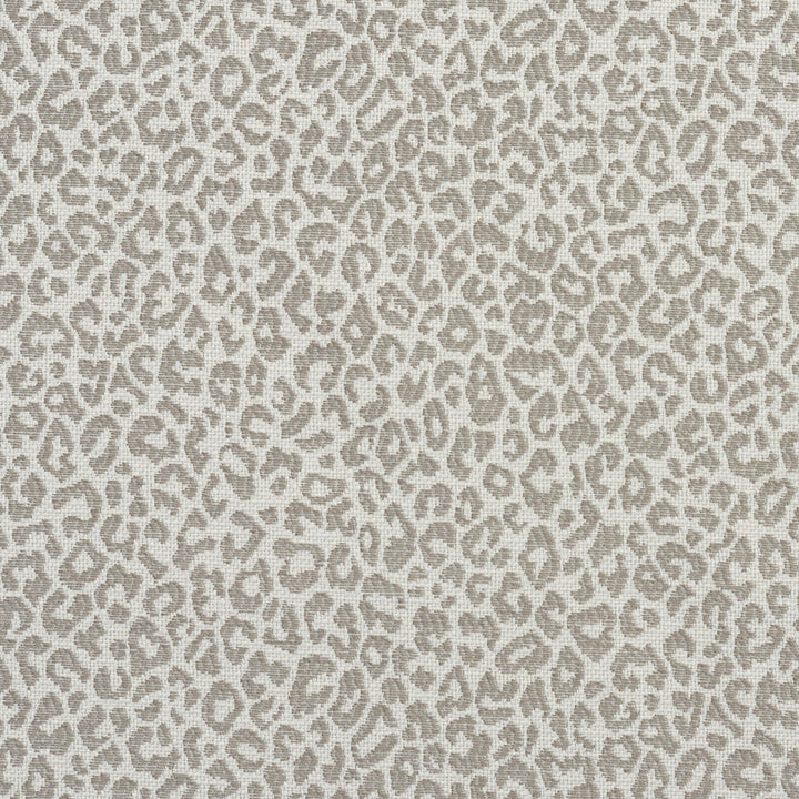 1594 Stone by Charlotte Designer Fabric Ring Book Page #16A 75% Rayon, 25% Polyester Asia Exceeds 70,000 Wyzenbeek Rubs (Heavy Duty) </p><p>Repeat: Random 54 Inches - Swanky Fabrics -