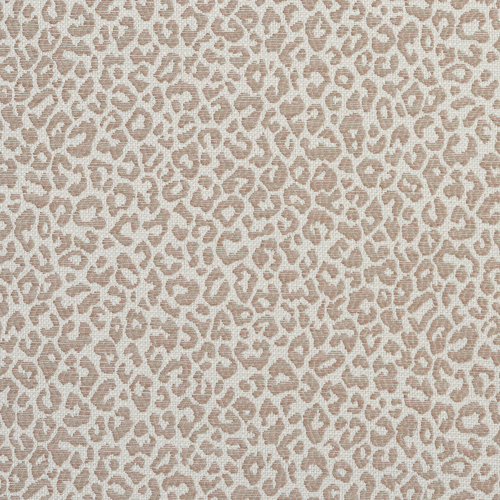 1596 Taupe by Charlotte Designer Fabric Ring Book Page #16A 75% Rayon, 25% Polyester Asia Exceeds 70,000 Wyzenbeek Rubs (Heavy Duty) </p><p>Repeat: Random 54 Inches - Swanky Fabrics -