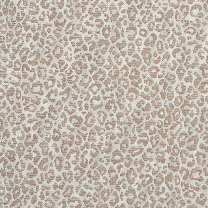 1596 Taupe by Charlotte Designer Fabric Ring Book Page #16A 75% Rayon, 25% Polyester Asia Exceeds 70,000 Wyzenbeek Rubs (Heavy Duty) Random 54 Inches - Swanky Fabrics -